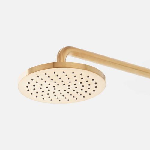 Lentz Rainfall Shower Head in Brushed Gold