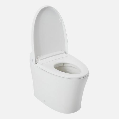 Narelle One Piece Elongated Tankless Toilet