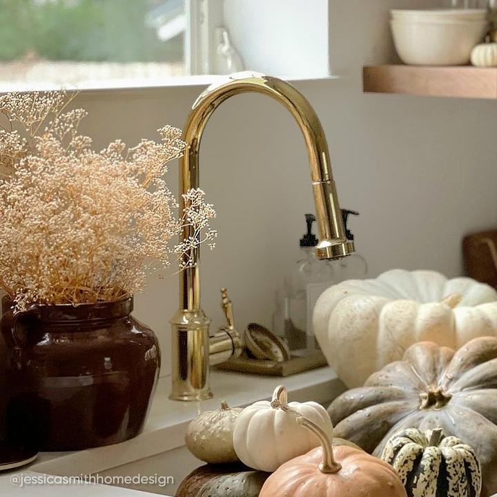 Southgate Single-Hole Pull-Down Kitchen Faucet in Polished Brass