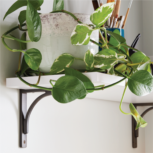 Rustic Brass Shelf Bracket in Antique Brass