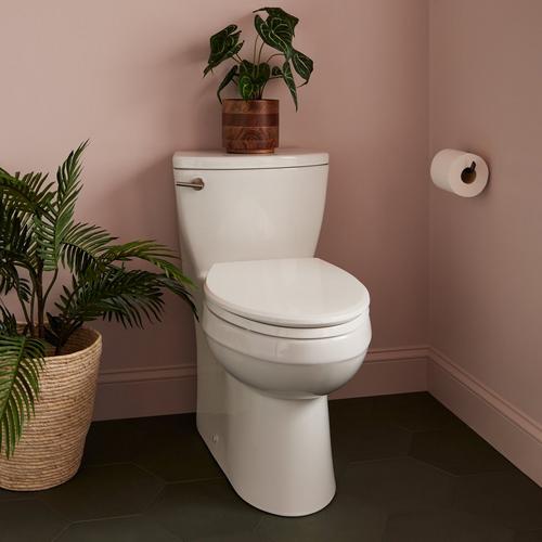 Brinstead One-Piece Elongated Skirted Toilet