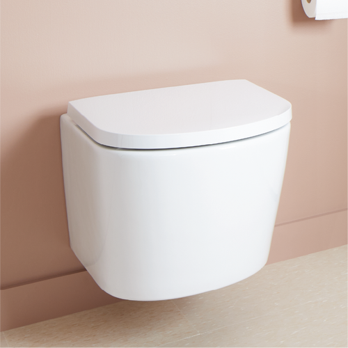 Arnelle Dual-Flush Wall-Mount Elongated Toilet