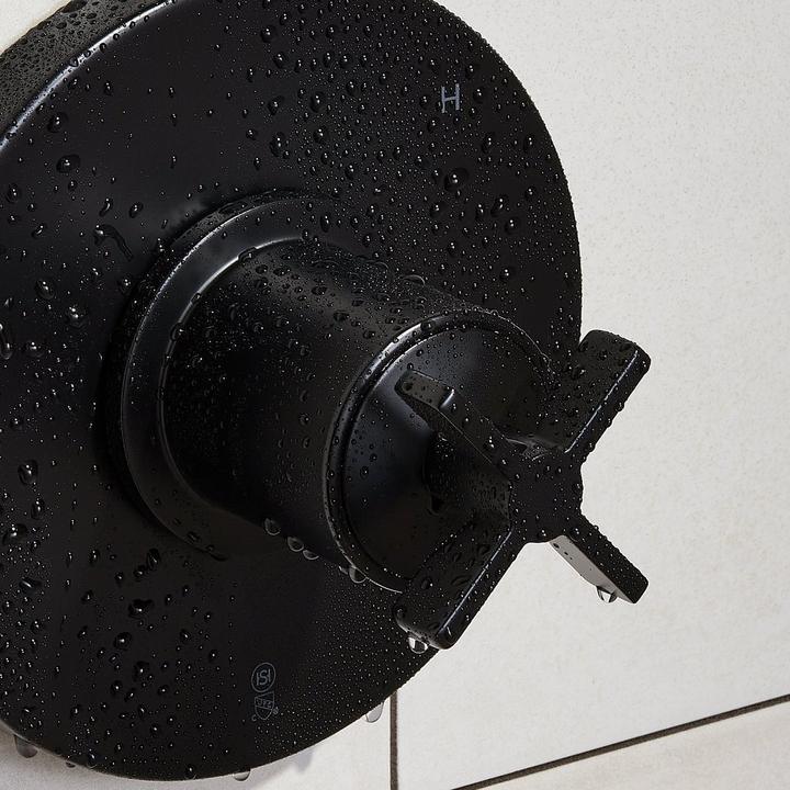 Vassor Pressure Balance Shower Valve in Matte Black