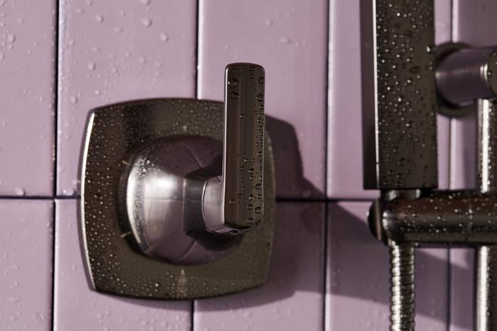 Sefina Pressure Balance Shower Valve and Hand Shower in Gunmetal