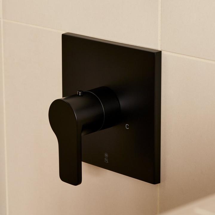 Hibiscus Thermostatic Diverter in Matte Black