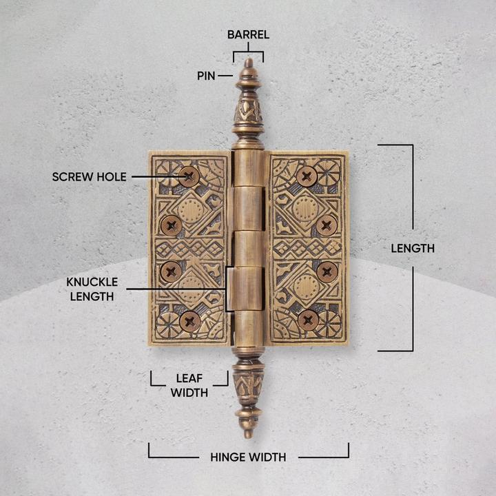 Illustration of the anatomy of a hinge for door hinges buying guide - barrel, pin, screw hole, knuckle length, pitch, leaf width