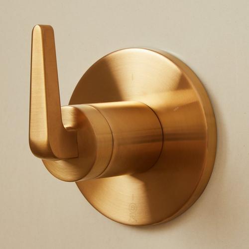 Drea In-Wall Shower Diverter Trim - Brushed Gold