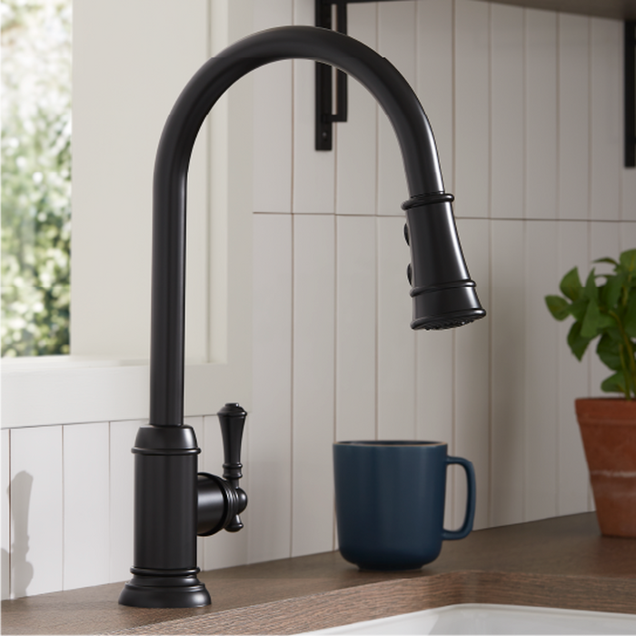 Finnian Kitchen Faucet - Stainless Steel