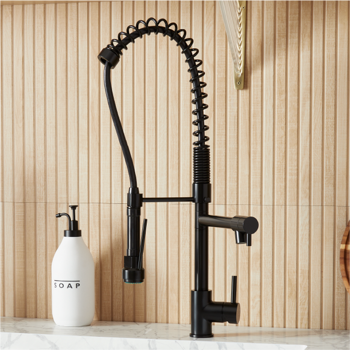 Levi Kitchen Faucet with Pull Down Spring Spout - Matte Black
