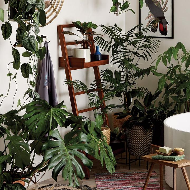 Kirana Teak Freestanding Ladder Towel Rack