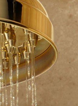 Polished Brass rainfall showerhead.