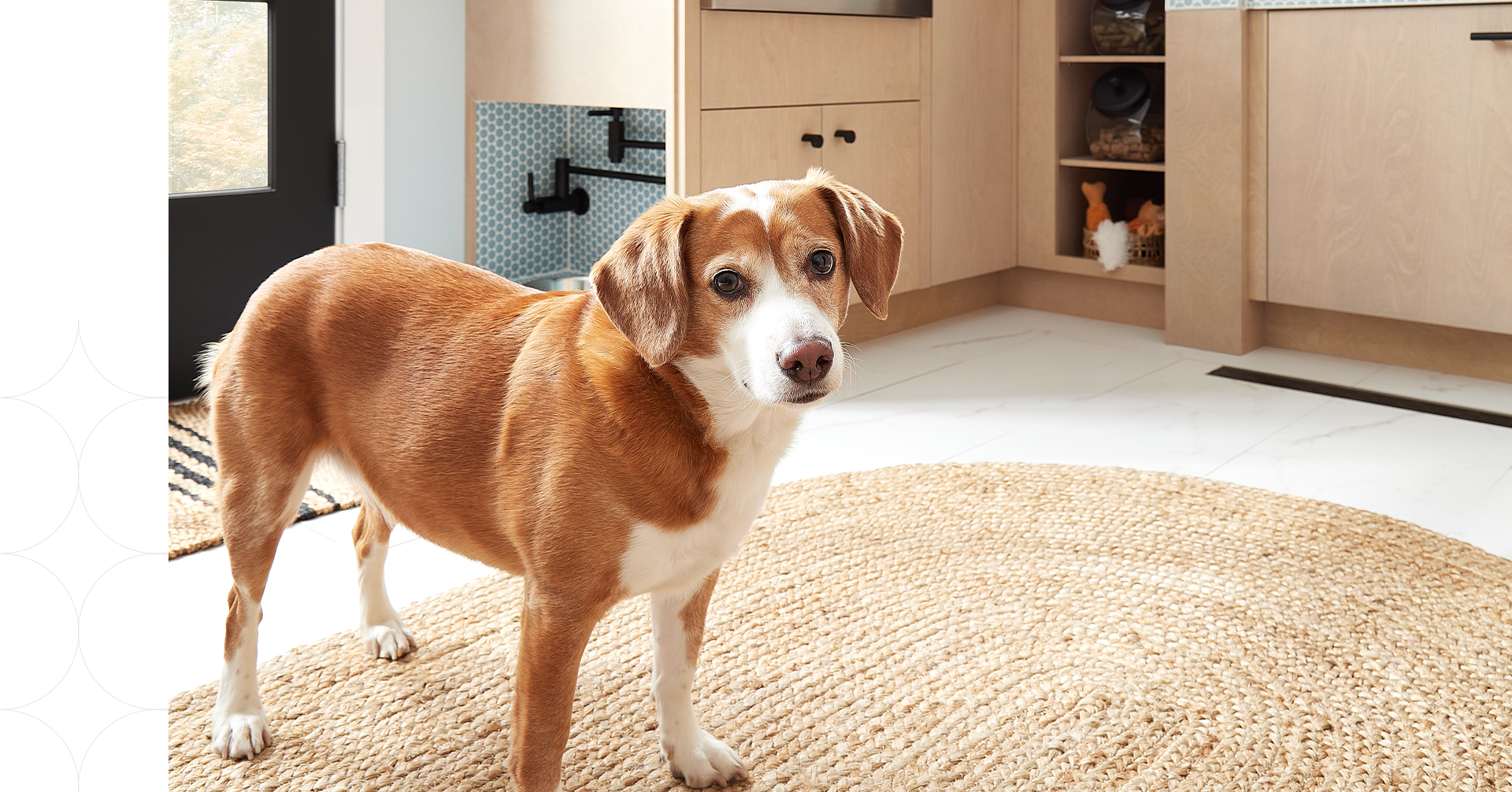 11 Upgrades for a Pet-Friendly Mudroom​