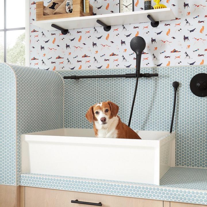 11 Upgrades for a Pet-Friendly Mudroom​