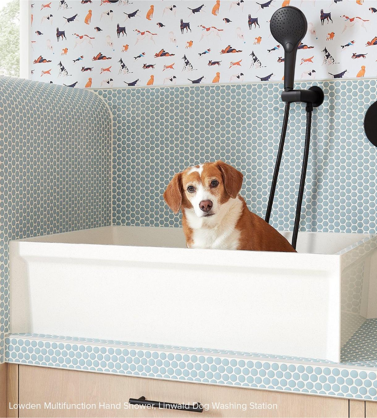 1.8 Lowden Multifunction Hand Shower - Matte Black

