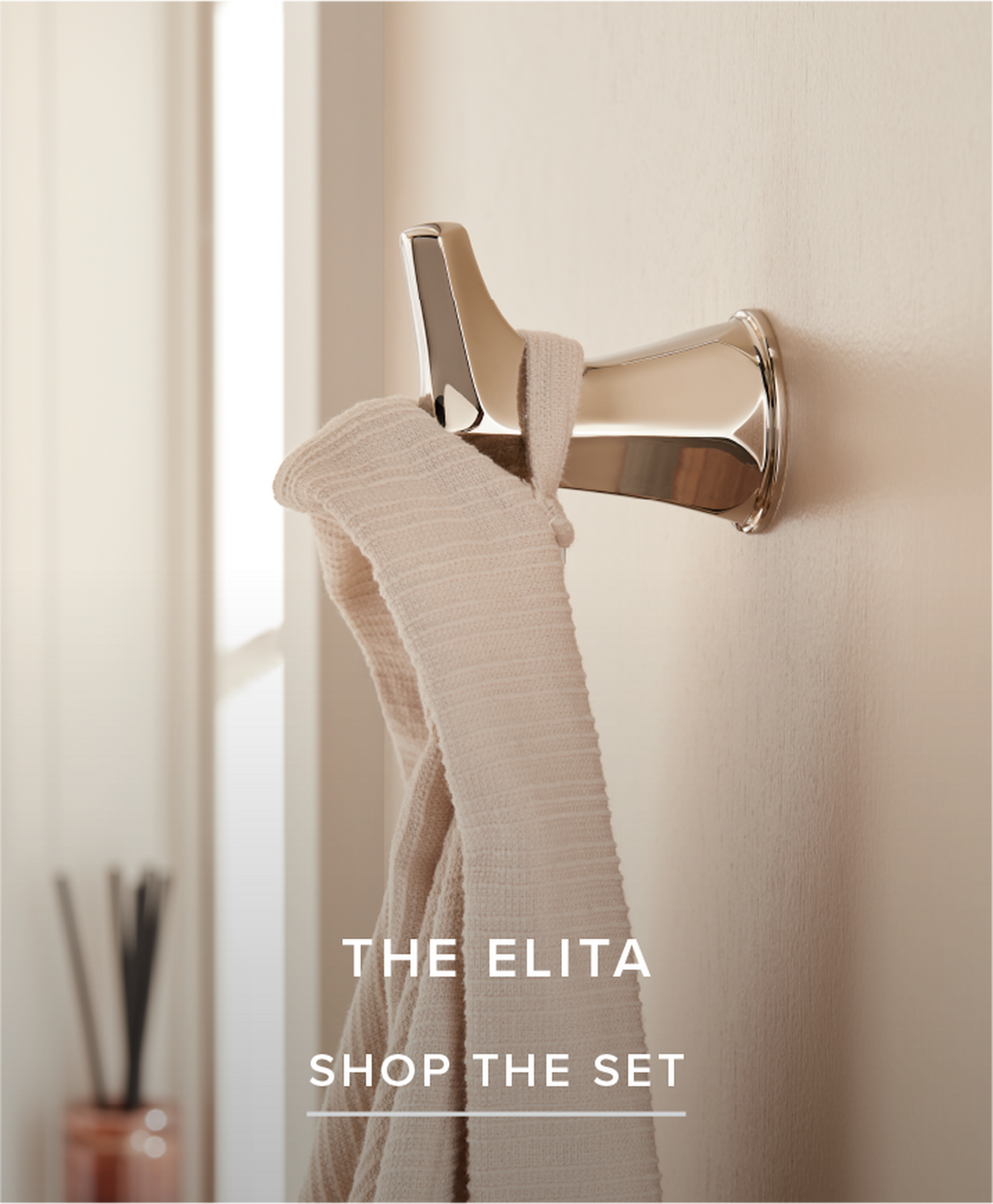 Elita Bath Accessory Set. in Polished Nickel