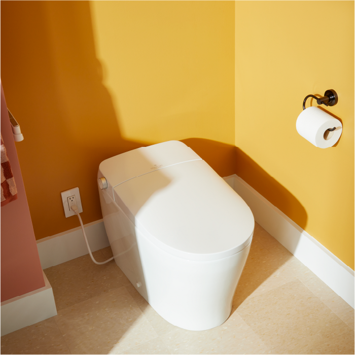 Toilet Buying Guide