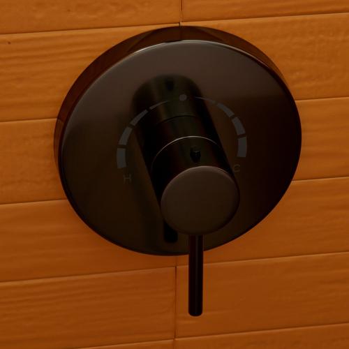 Lexia Thermostatic Shower Valve Trim in Gunmetal