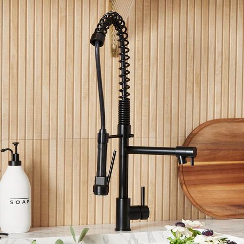 Levi Kitchen Faucet with Pull-Down Spring Spout in Matte Black