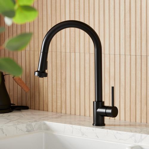 Ridgeway Pull-Down Kitchen Faucet in Matte Black