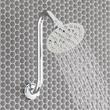 Cambridge Rainfall Nozzle Shower Head - 8" Offset Arm - Chrome, , large image number 0
