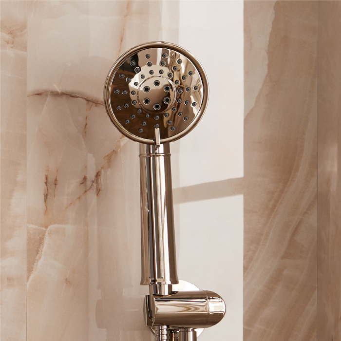Elita Hand Shower in Polished Nickel