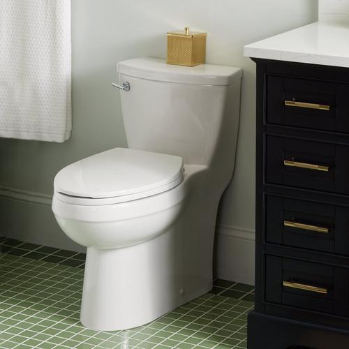 Brinstead One-Piece Elongated Skirted Toilet