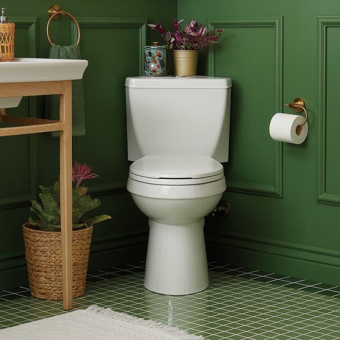 18 Types of Toilets, Styles and Toilet Mechanisms [Full Guide]