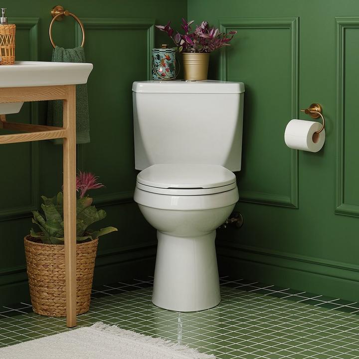 Toilet Buying Guide