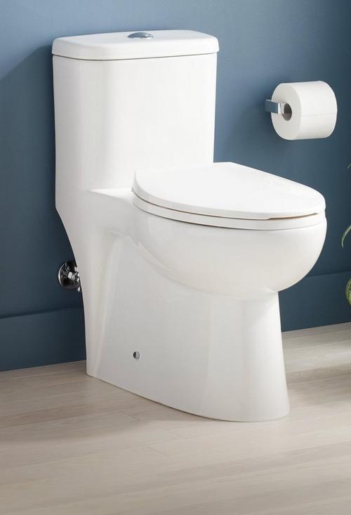 Alledonia One-Piece Elongated Skirted Toilet - White