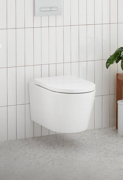 Arnelle Dual-Flush Wall-Mount Elongated Toilet