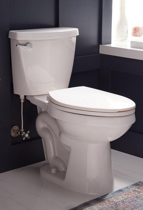 Bradenton Two-Piece Round Toilet