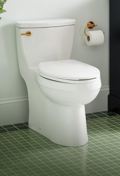 Brinstead One-Piece Elongated Skirted Toilet