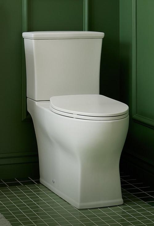 Carraway One-Piece Elongated Toilet - White