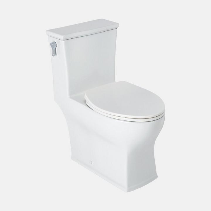 Carraway One-Piece Elongated Toilet