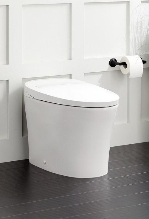 Narelle One-Piece Elongated Tankless Battery Operated Toilet