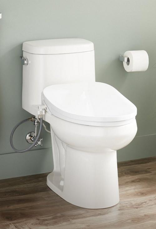 Sarasota One-Piece Elongated Toilet