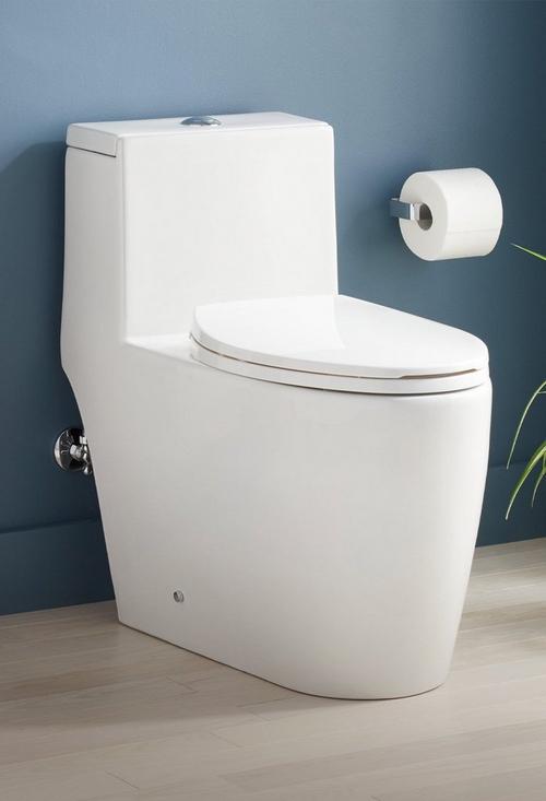 Sitka One-Piece Elongated Skirted Toilet