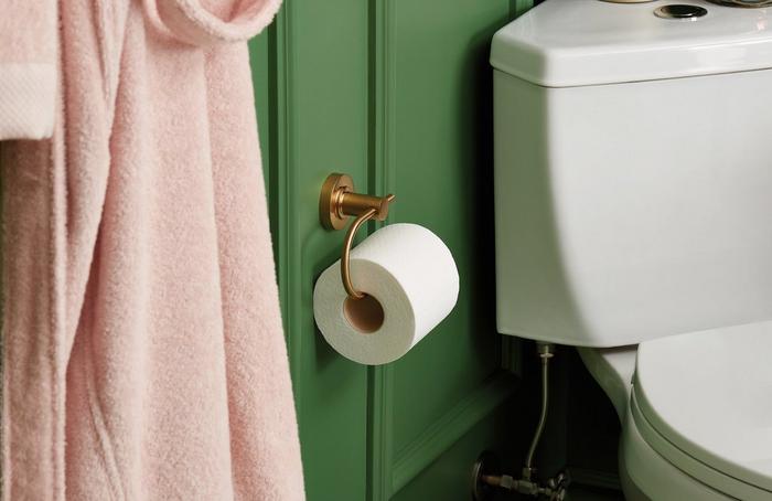 Lexia Toilet Paper Holder in Brushed Gold