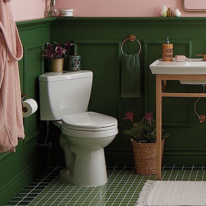 Toilet Buying Guide