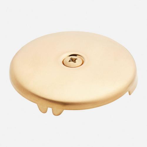 Overflow Cover Plate with Single Screw in Brushed Gold