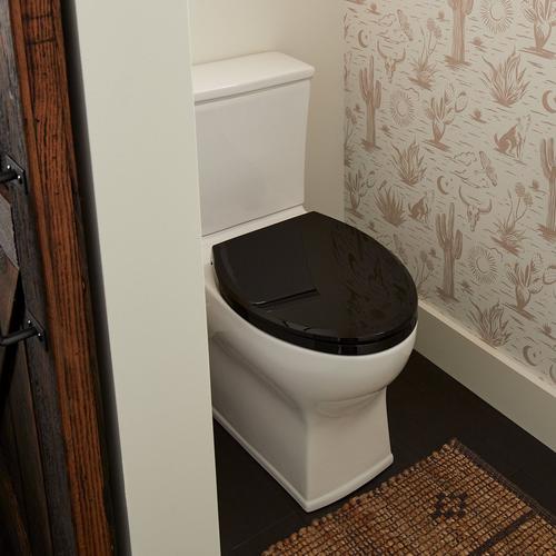 Carraway Two-Piece Skirted Elongated Toilet