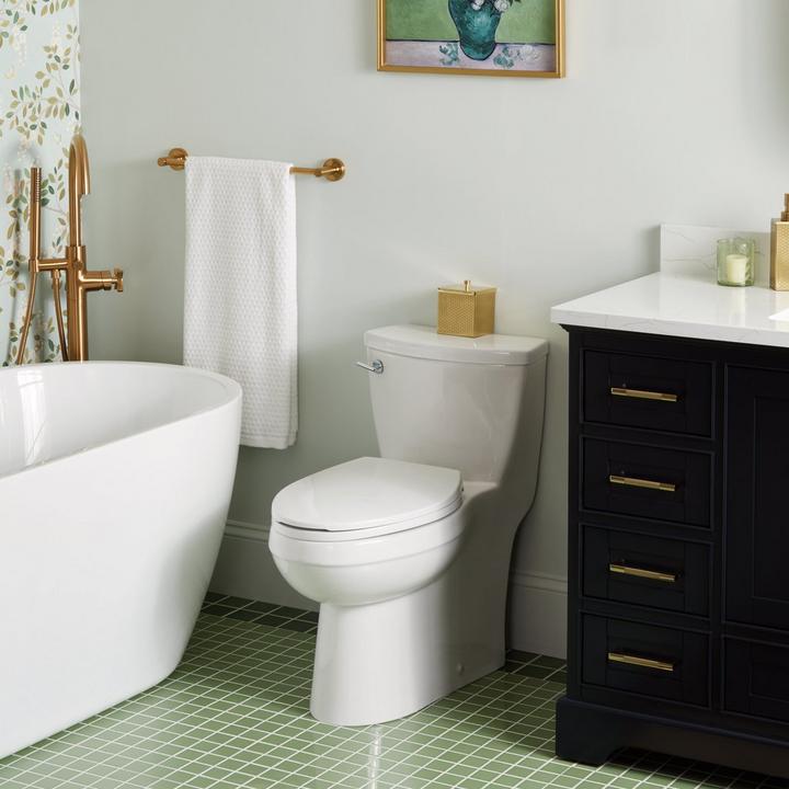 Brinstead One-Piece Elongated Skirted Toilet for toilet installation